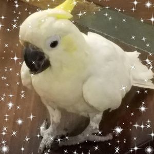 Meet your Posher, Lynda